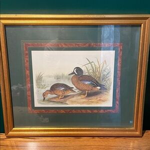 Framed Duck Art Print with Gold Frame
